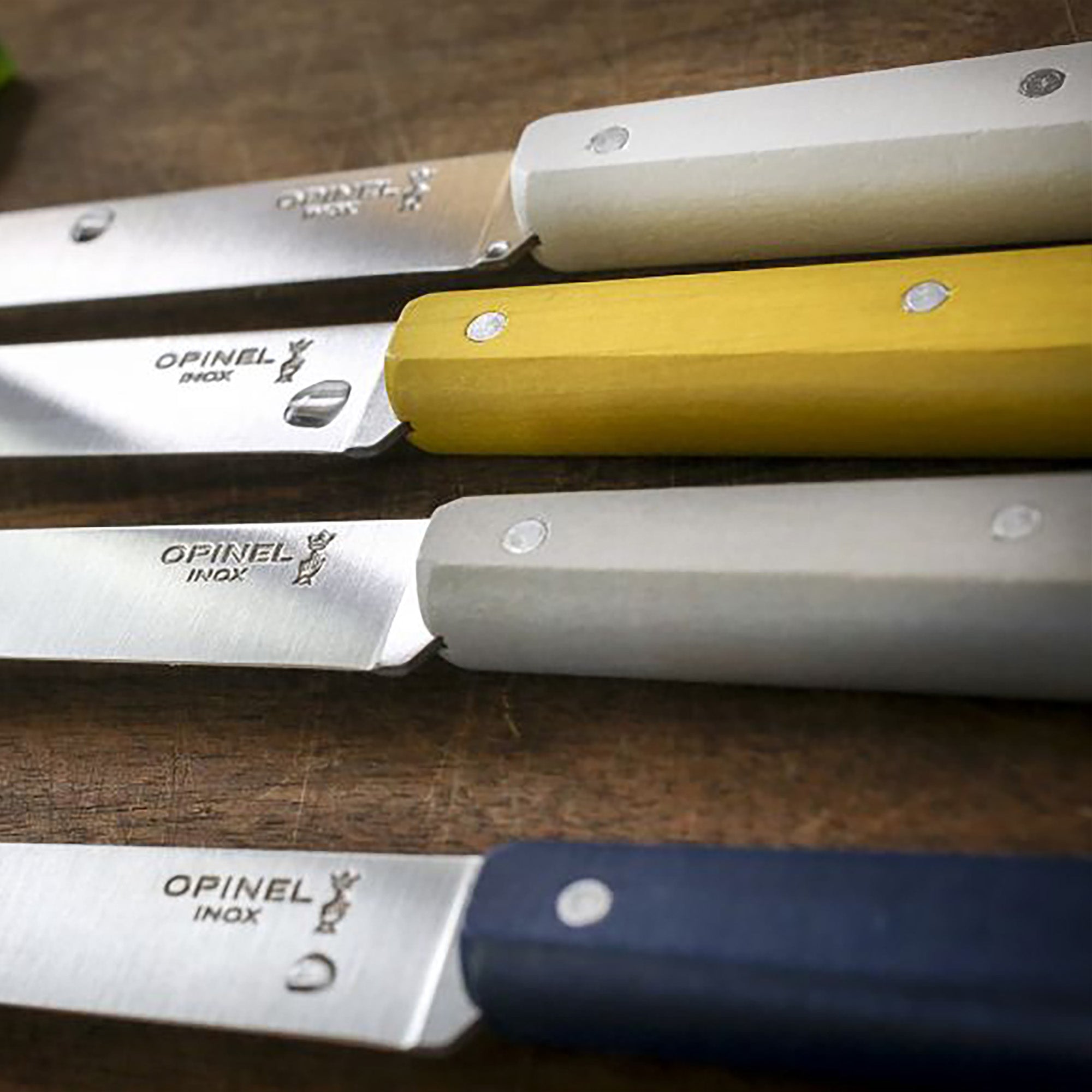 Bon Appêtit Céleste - Coffret de 4 couteaux de table N°125 Opinel